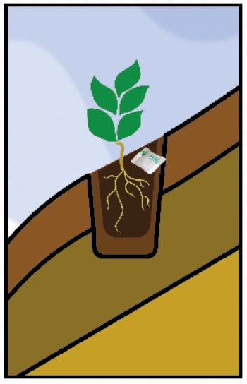 planterpackhillsideillustration