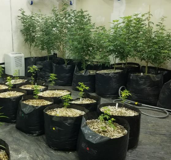 IndoorMM pic