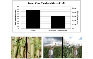 SweetCornResearch1