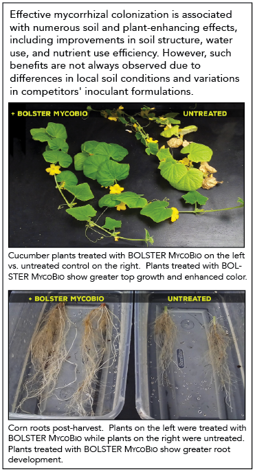 bolstermycobio trialimages