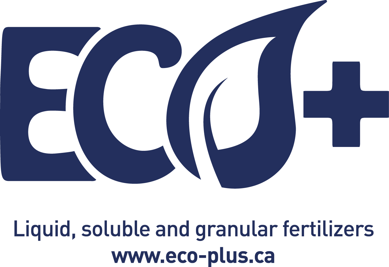 eco logo