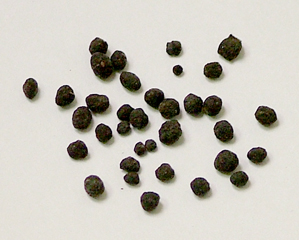 Organic Nutrients Encapsulated in Humic Acid and Beneficial Microbiology