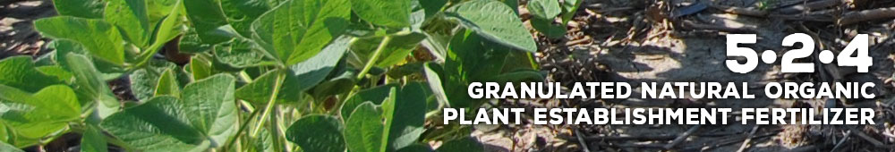 Suståne 5-2-4 is a natural organic slow-release nitrogen plant establishment fertilizer that provides a high amount of organic nitrogen for lasting plant nutrition.