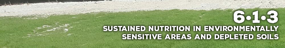 Sustane 6-1-3 natural slow release nitrogen fertilizer that provides organic nitrogen combined with nutrient rich compost for total plant nutrition.