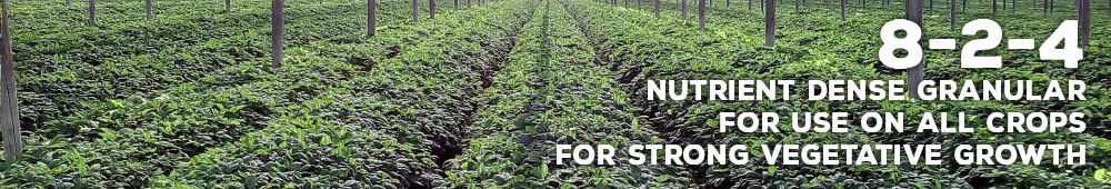 8 2 4headerAg