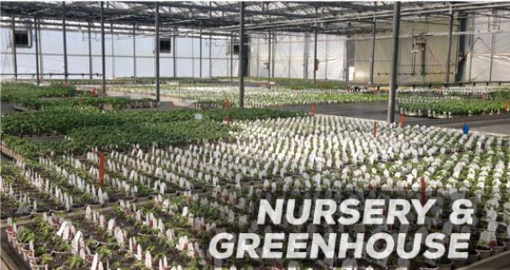 Suståne for Nursery, Greenhouse, and Soil Blends